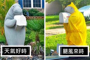 隔壁鄰居一年四季都為「海牛郵箱」打扮，《颶風季節造型》也真太萌啦！