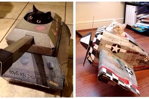 這些「寵貓無極限的貓奴」為取悅主子「不惜燒錢」為牠們蓋坦克車、飛機和美宅！