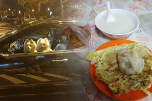 台南超狂網友半夜開車到宜蘭「吃早餐」再去台東吃便當，超狂行程網友們都跪了！