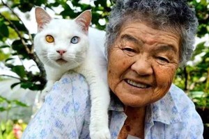 86歲老奶奶和耳聾小貓「溫情相守11年」！孫女拍下「最平凡的日常」卻讓千萬網友都落淚...