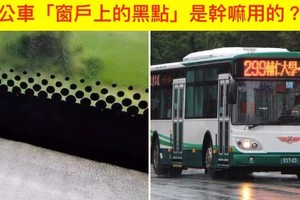 公車「窗戶上的黑點」做什麼用？網友說出「正確解答」...原來還不只是好看而已！