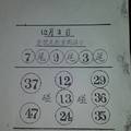 12/3 港號重點提示  六合參考