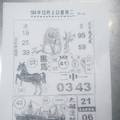 12/8 黑馬  六合參考