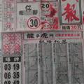 12/31 武報  六合參考