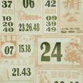 1/19 大樹公+福多寶   六合參考
