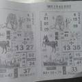 2/4 黑馬  六合參考