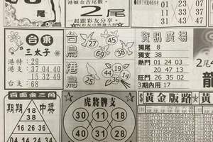 12/5 台灣人早報  六合參考