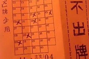 12/12 橘色不出牌  六合參考