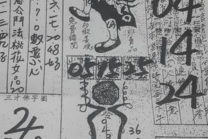 12/15 嘉義濟公禪堂  六合參考