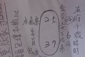 12/15 水底寮  六合參考