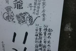 12/15 虎爺+拆字  六合參考