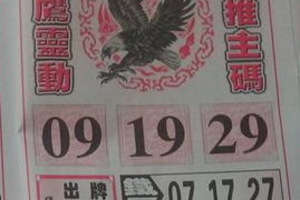 12/15 神鷹  六合參考