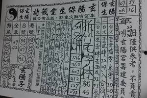 12/22~12/26 玄陽保生堂   六合參考