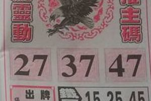 12/22 神鷹  六合參考