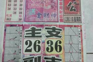 12/31 石頭公報  六合參考