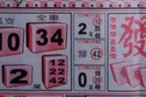 12/31 發發發  六合參考