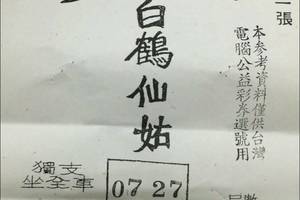 12/31 白鶴仙姑  六合參考