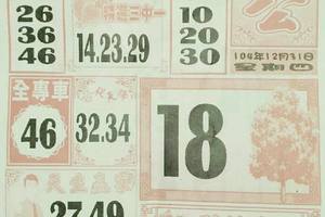 12/31 大樹公+福多寶  六合參考