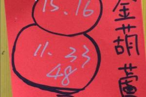 12/31 金葫蘆+韓信爺  六合參考