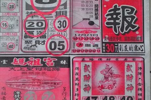 12/31 圓報  六合參考