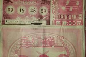 12/31 六合皇  六合參考