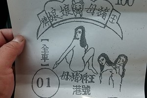 1/2 豬母娘娘  六合參考