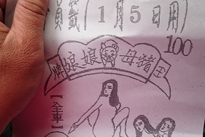 1/5 豬母娘娘  六合參考