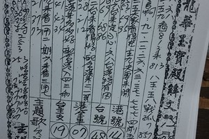 1/5~1/10 龍華玉寶殿  六合參考