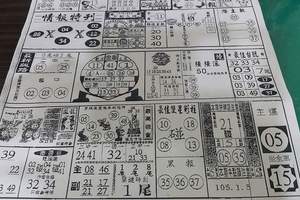 1/5 情報特刊   六合參考