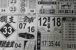 1/10 圓報  六合參考