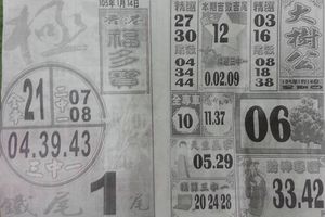 1/14 大樹公+福多寶  六合參考