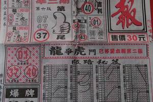 1/19 武報  六合參考