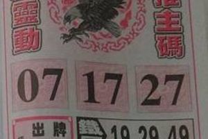 1/19 神鷹  六合參考