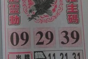 1/23 神鷹  六合參考