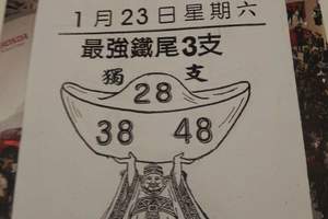 1/23 最強鐵尾  六合參考