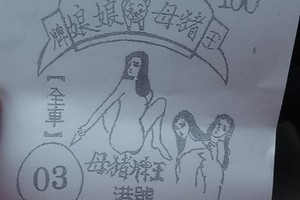 1/23 豬母娘娘  六合參考