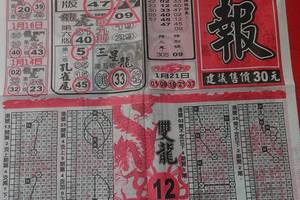 1/23 龍報  六合參考