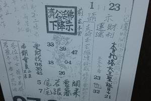 1/23 濟公活佛  六合參考