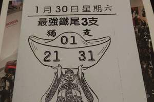 1/30 最強鐵尾  六合參考