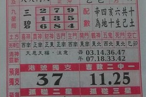 1/30 聖母寶鑑   六合參考