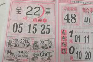 2/4 馬會版路  六合參考