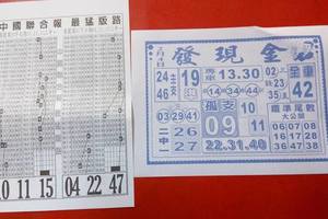 2/4 發現金  六合參考