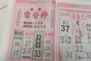 2/4 雷公神+善隱寺  六合參考