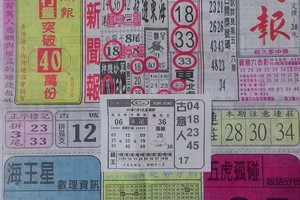 2/4 中國新聞報   六合參考