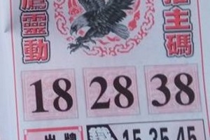 2/4 神鷹  六合參考