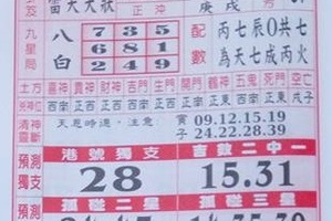 2/4 聖母寶鑑  六合參考