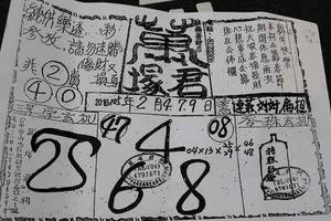 2/4 萬塚君  六合參考