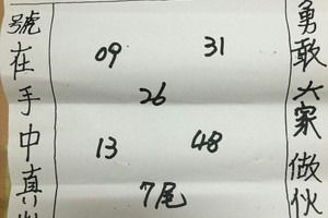 2/4 勇敢者  六合參考