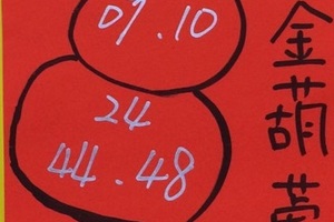 2/4 金葫蘆+韓信爺   六合參考
