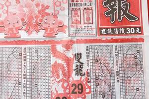 2/13 龍報  六合參考